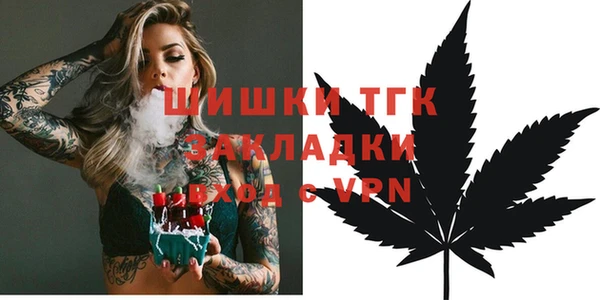 ешки Аркадак
